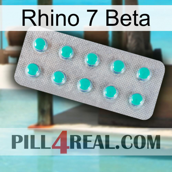 Rhino 7 Beta 28